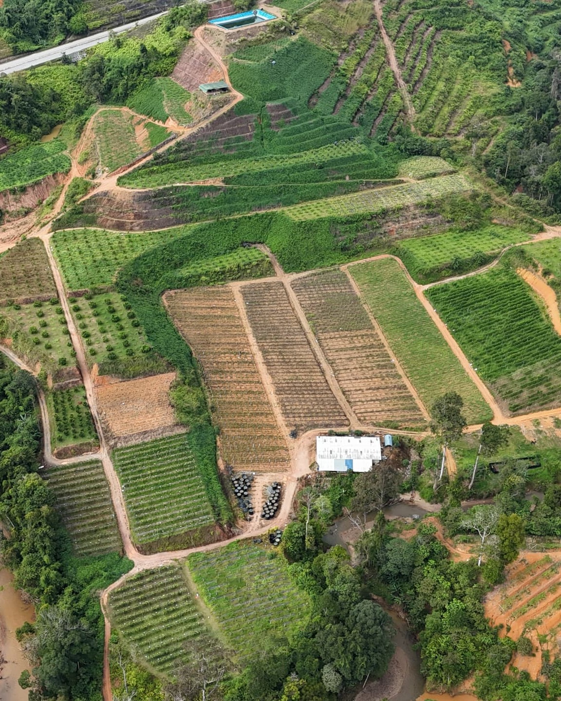Sindiyan Fruits Farm